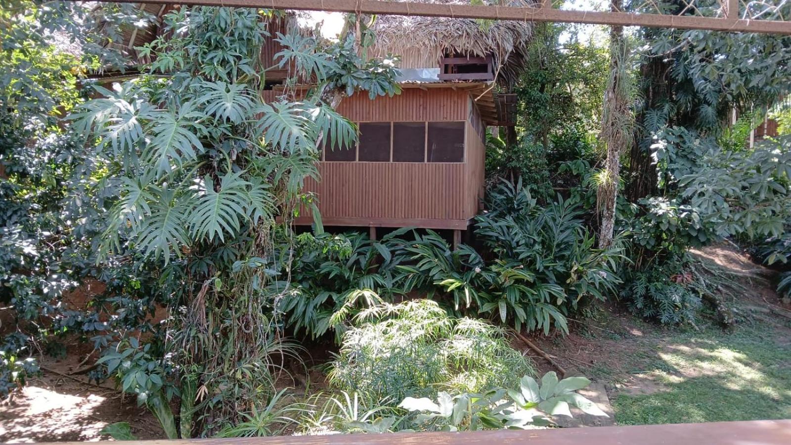 Tortugal Boutique River Lodge Rio Dulce Town Eksteriør bilde